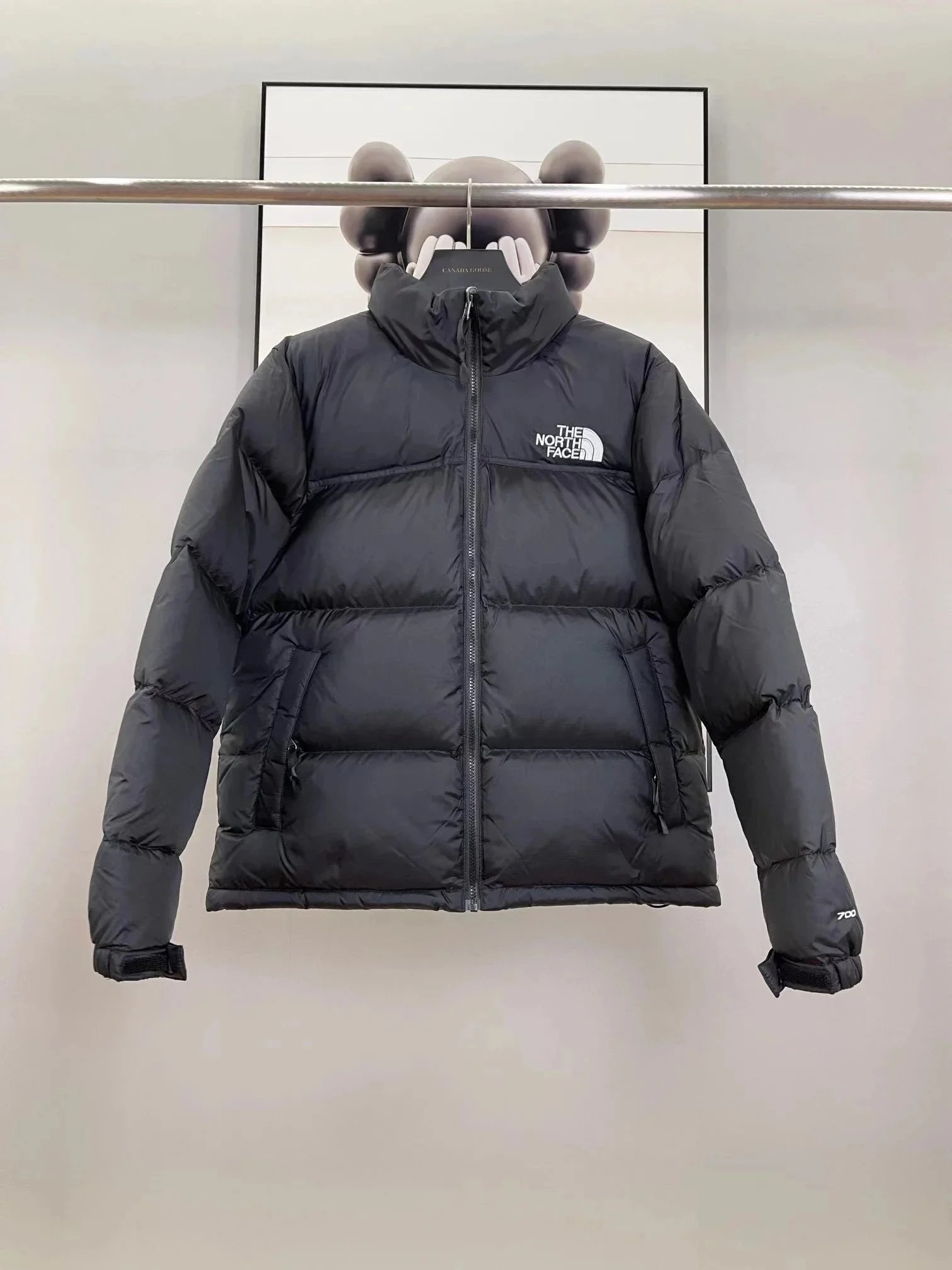 The North Face Down Jackets