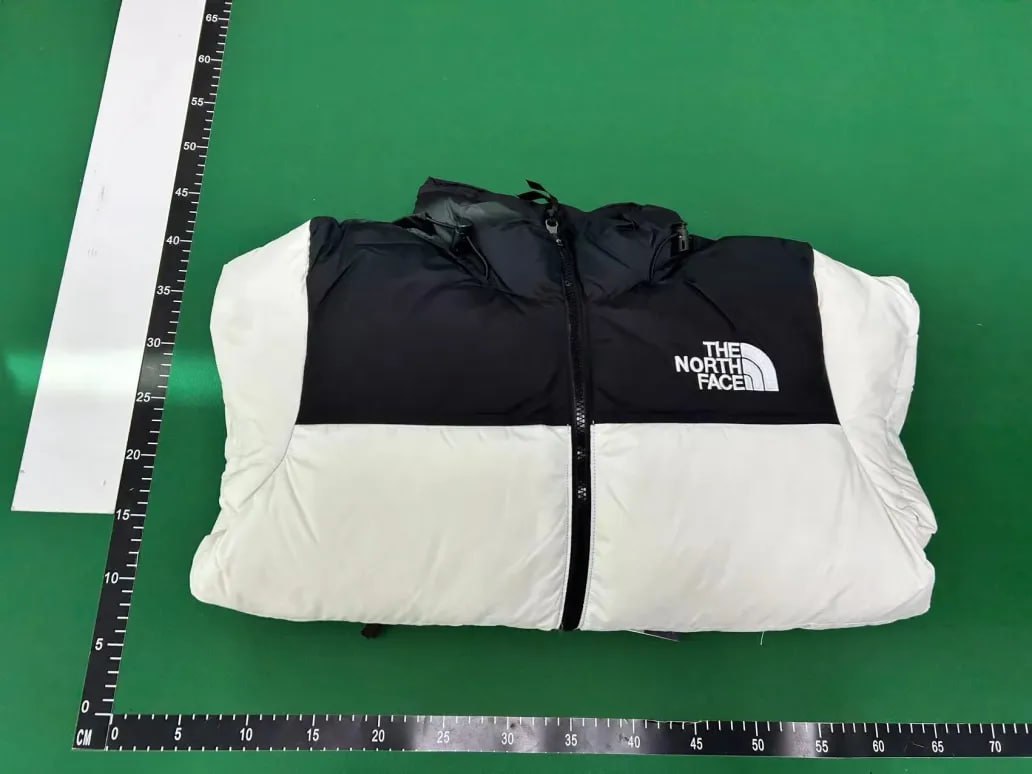  The North Face Down Jackets