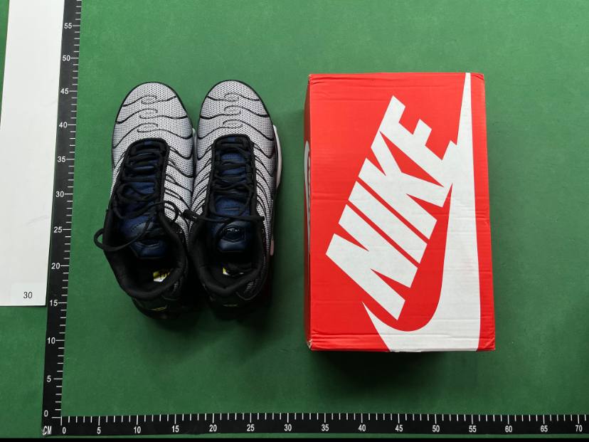 Nike Air TN Shoes