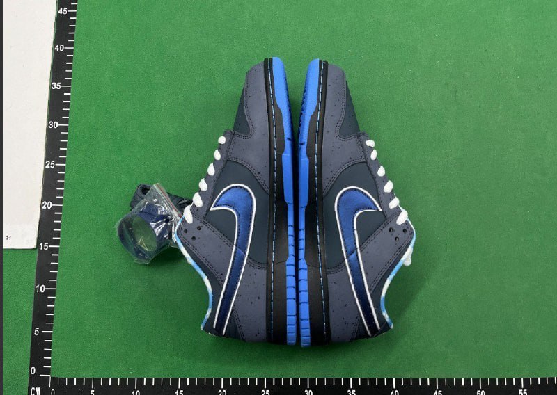 Nike Dunk SB