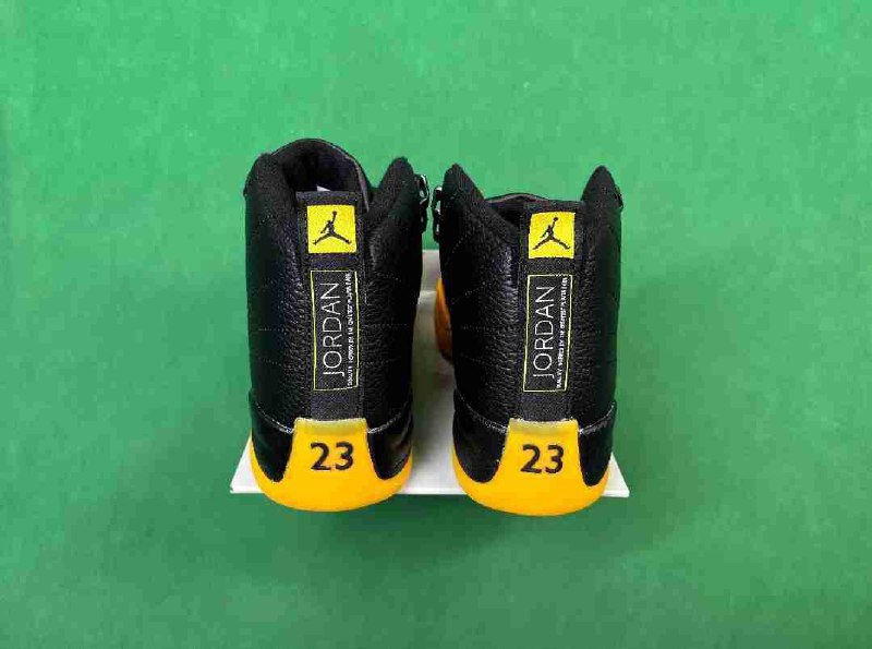 jordan 12  [25 Colors]