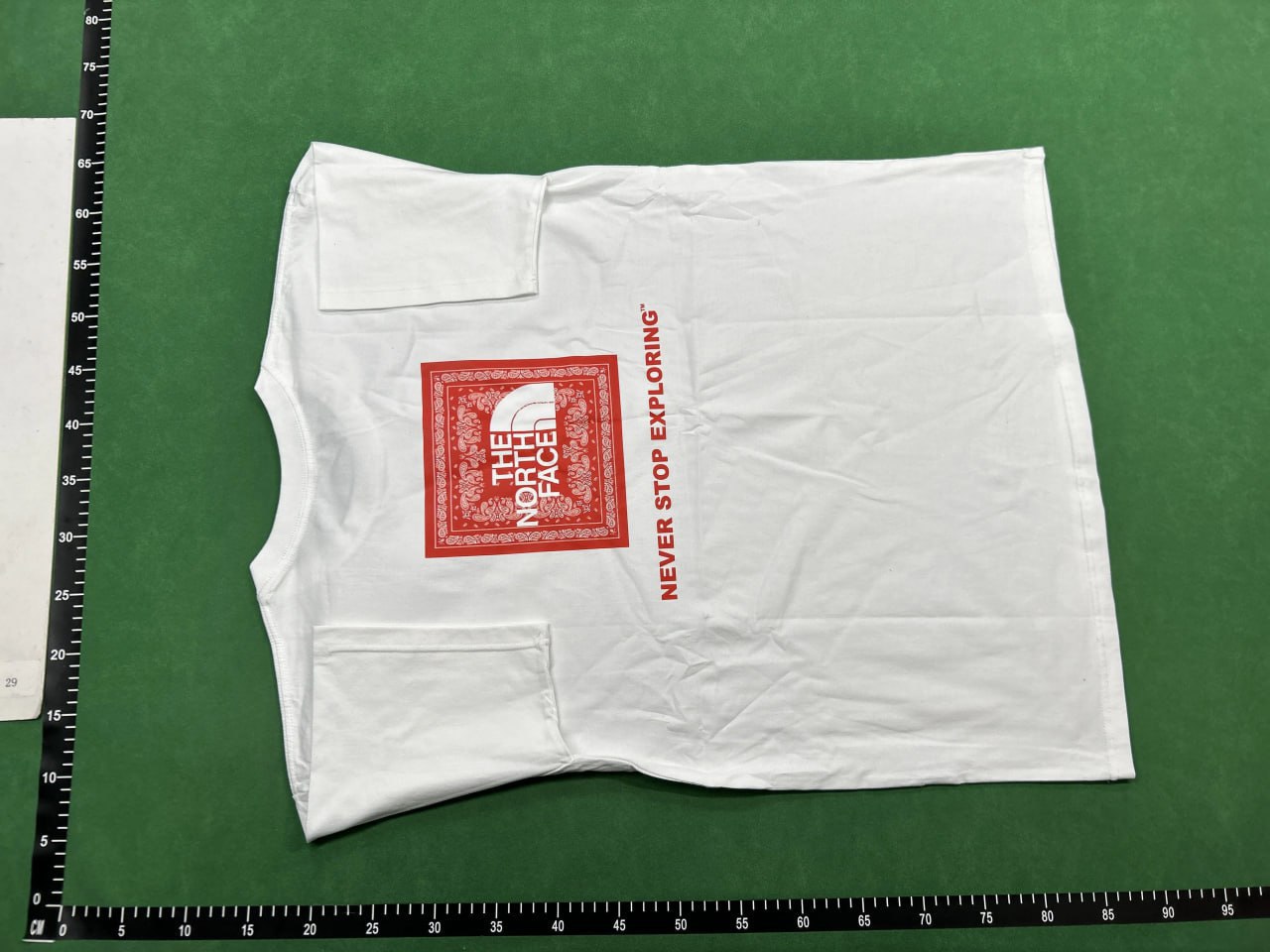 The north face T-shirt  (30 CP)