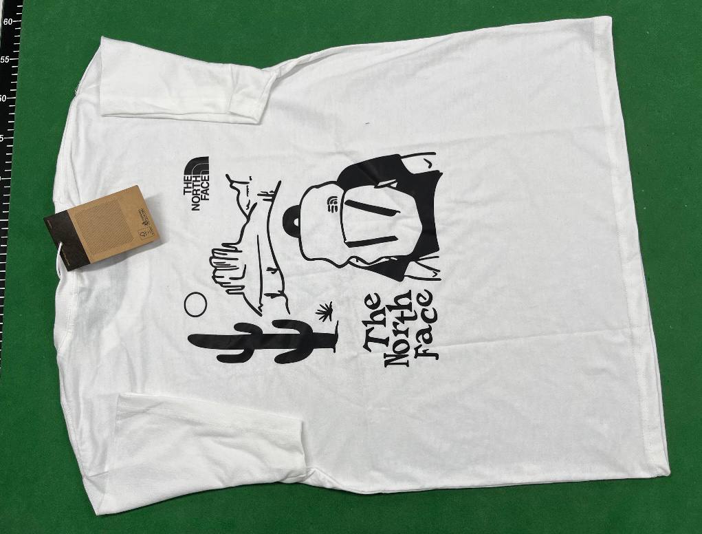 The north face T-shirt  (30 CP)