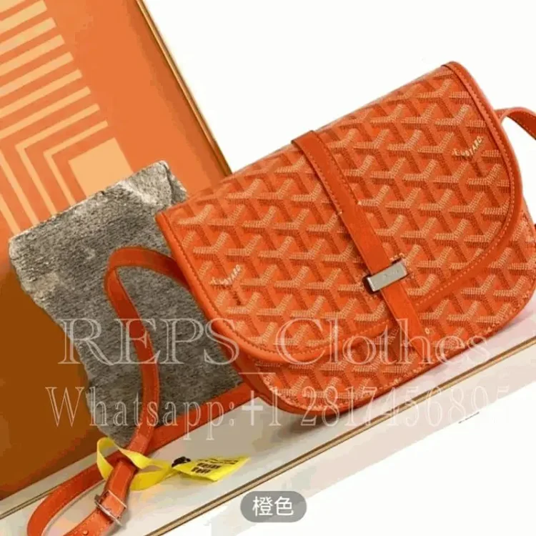  GOYARD bag