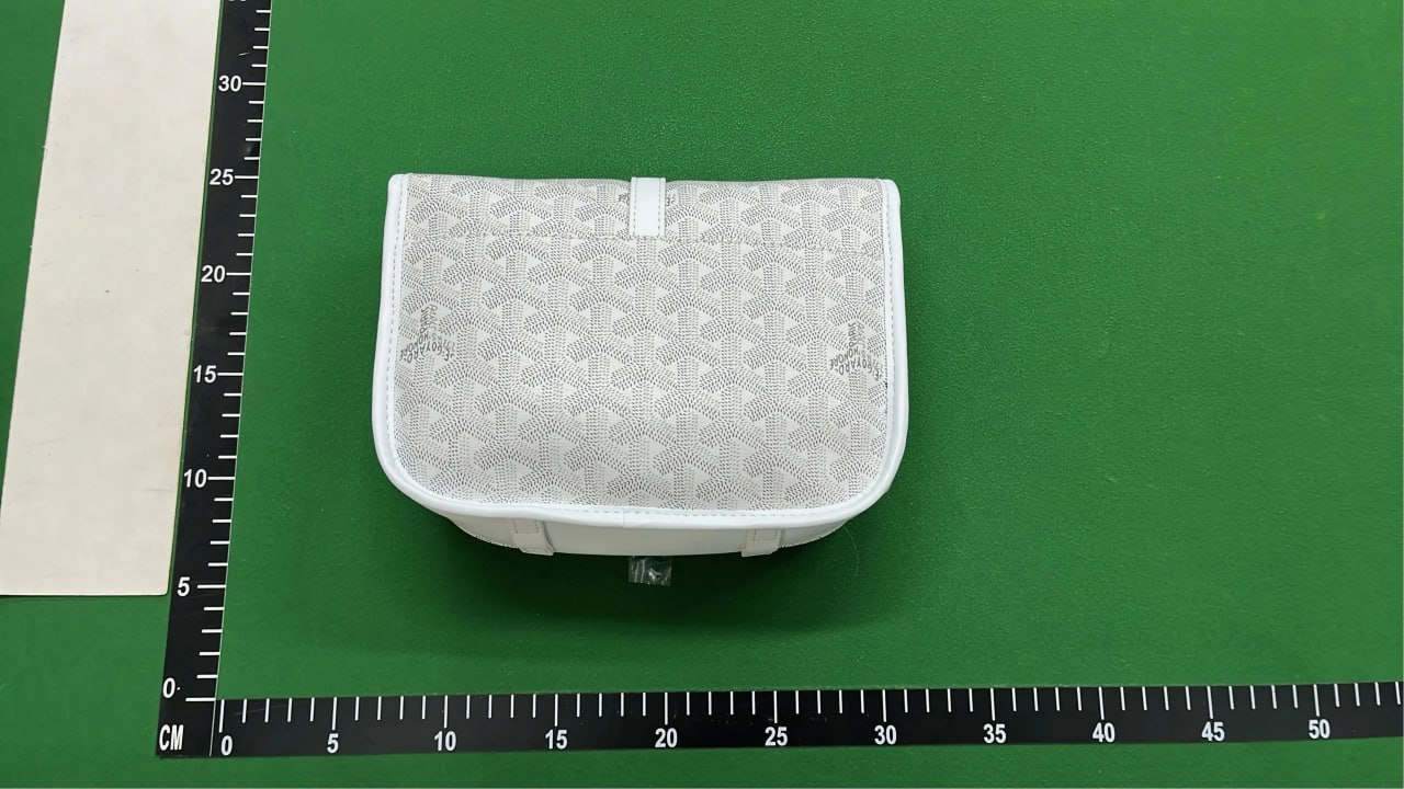  GOYARD bag