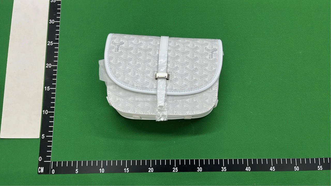  GOYARD bag