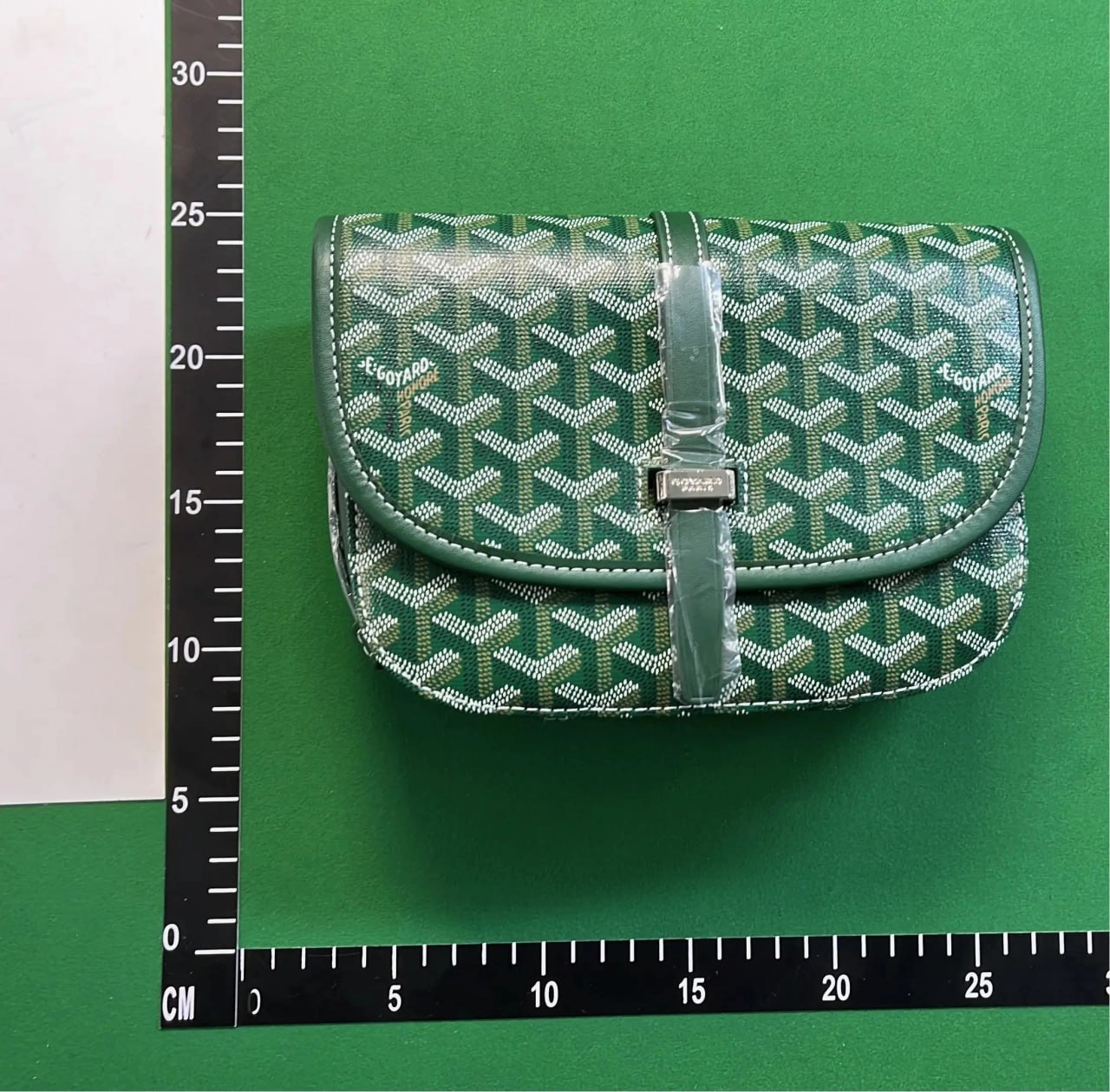  GOYARD bag
