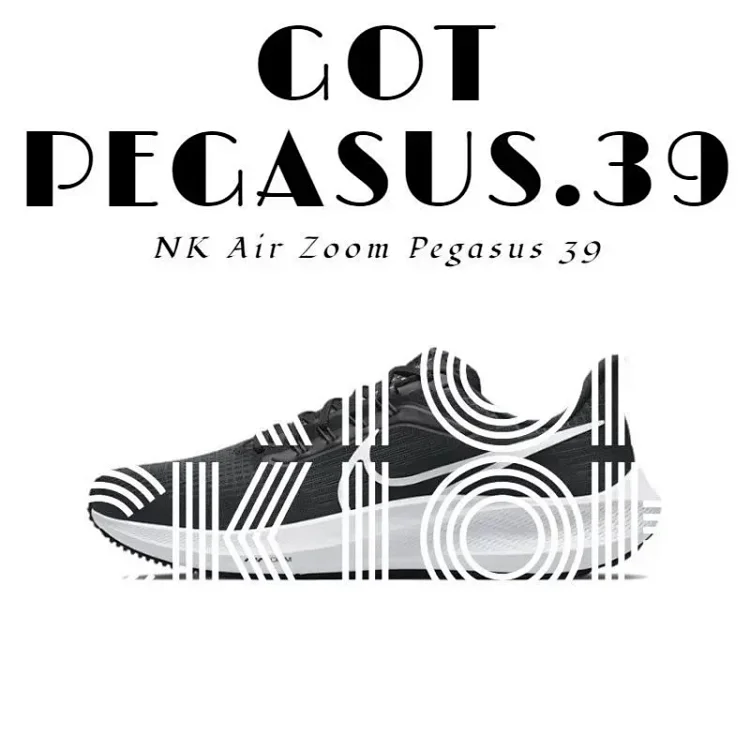  GOT-ZOOM FLY5