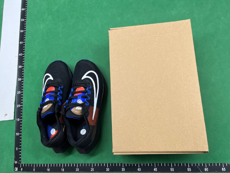  GOT-ZOOM FLY5
