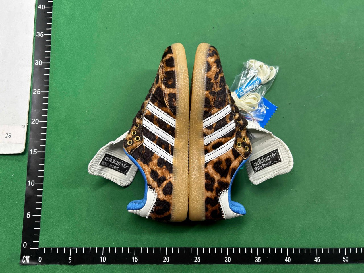 BF  adidas Gazelle lndoor