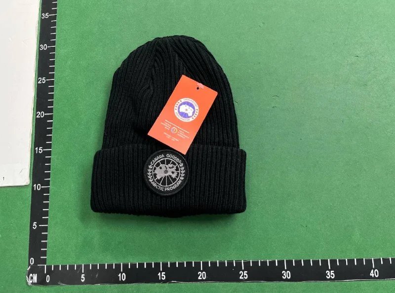 Canada Goose/DSQ2 Beanie（38+ Styles）
