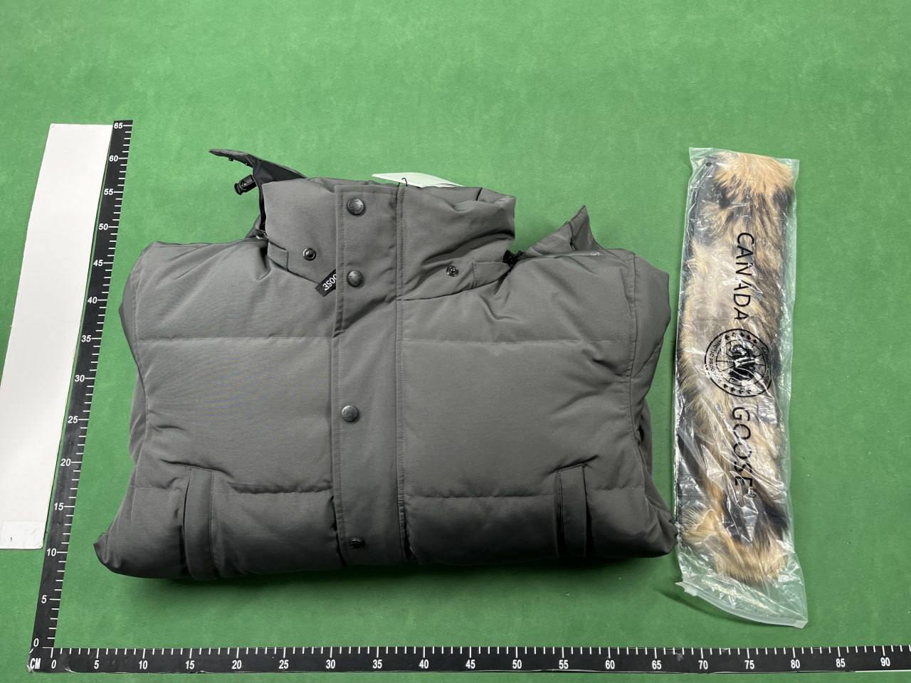 Canada Gooes Jacket