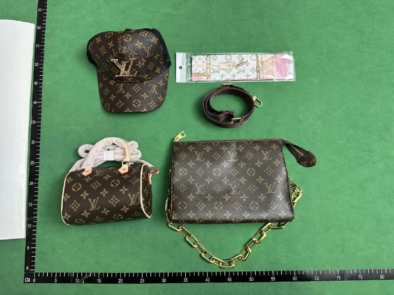 Dior/LV Bag
