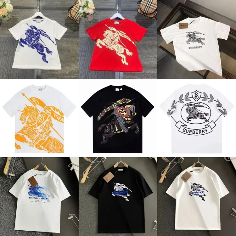  Burberry T-shirt  (22 CP)