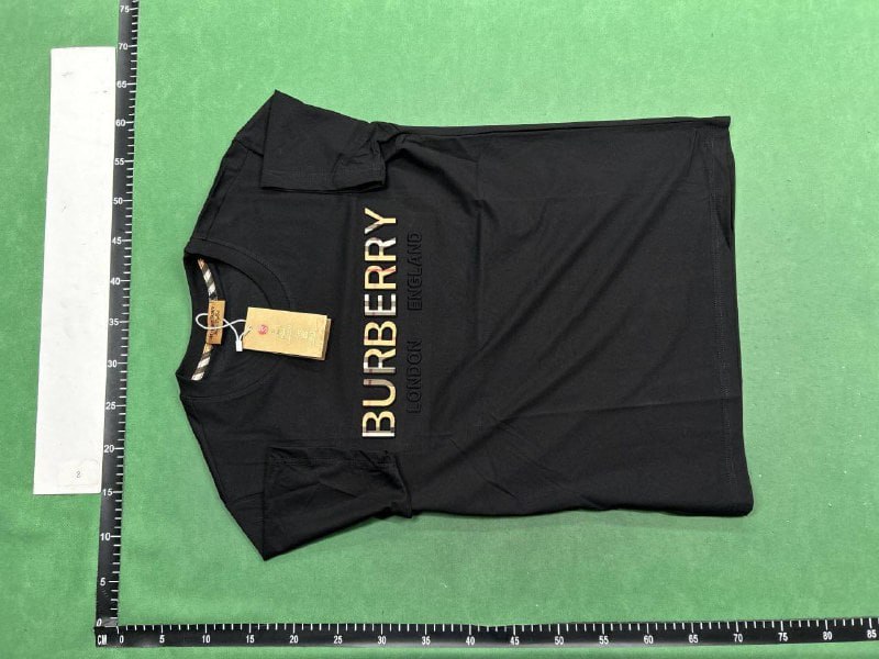  Burberry T-shirt  (22 CP)