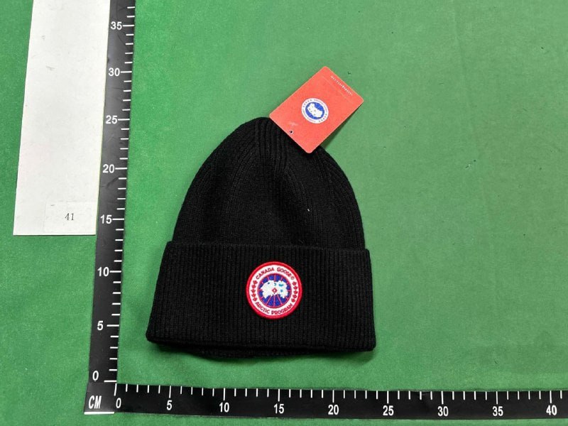 Canada goose hat  (29 CP)