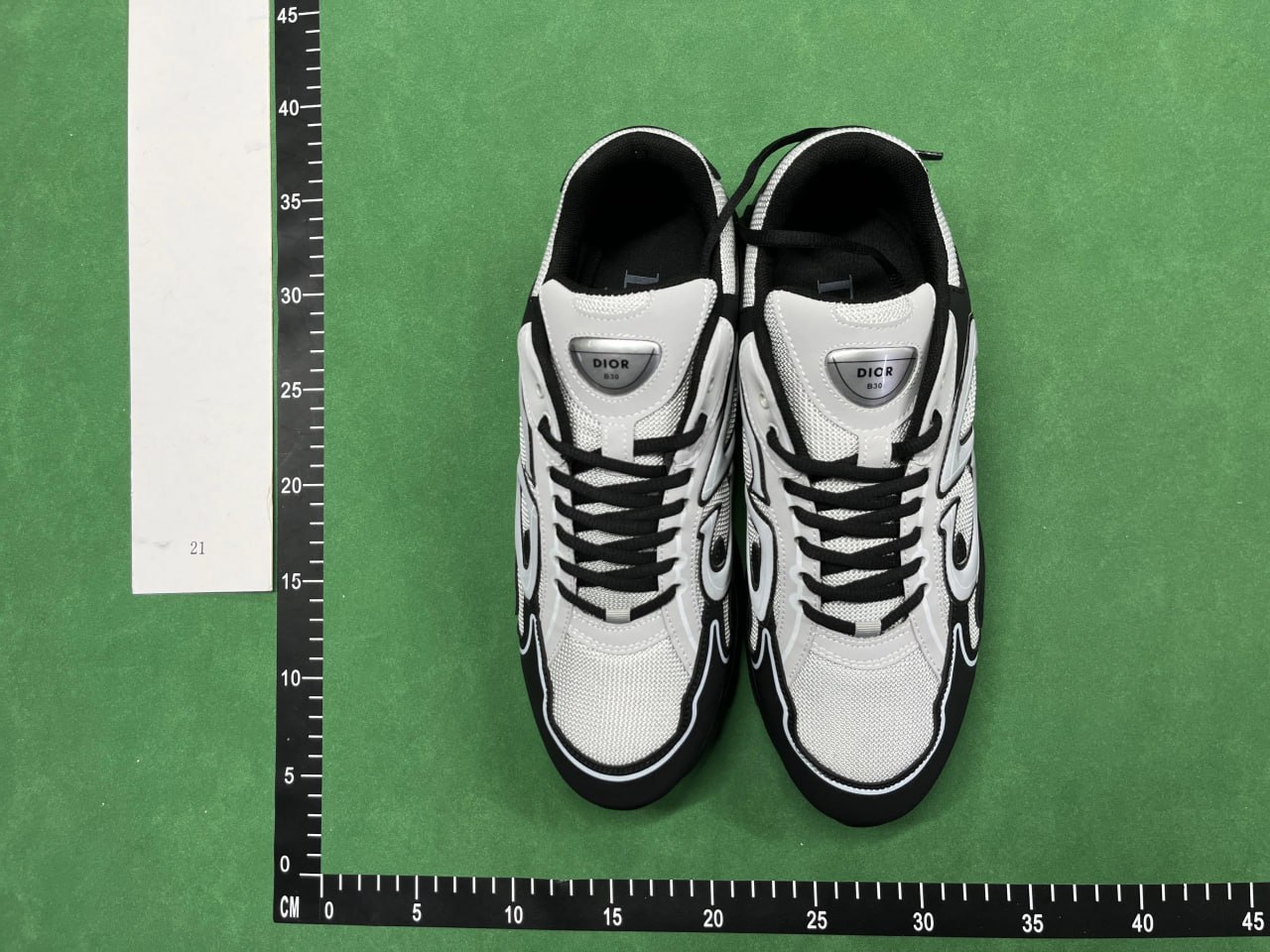   DIOR B30 