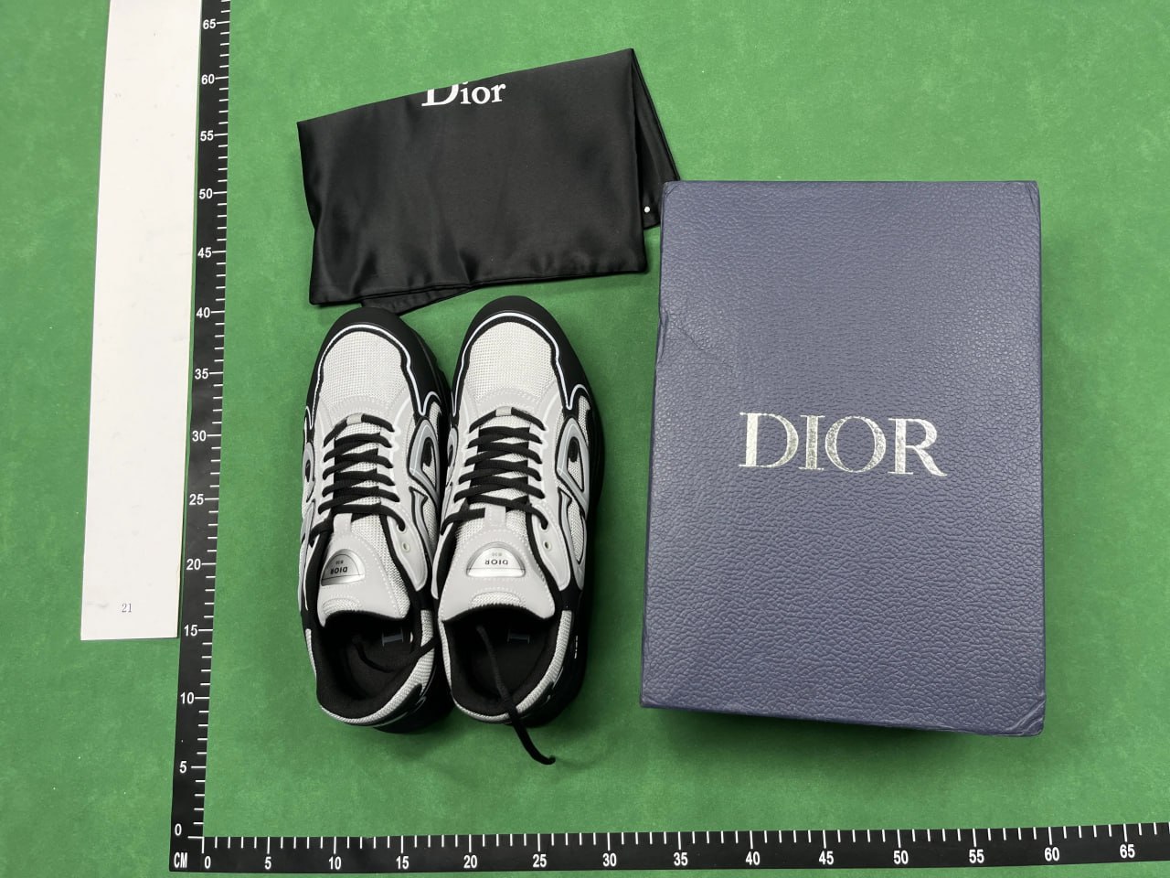   DIOR B30 