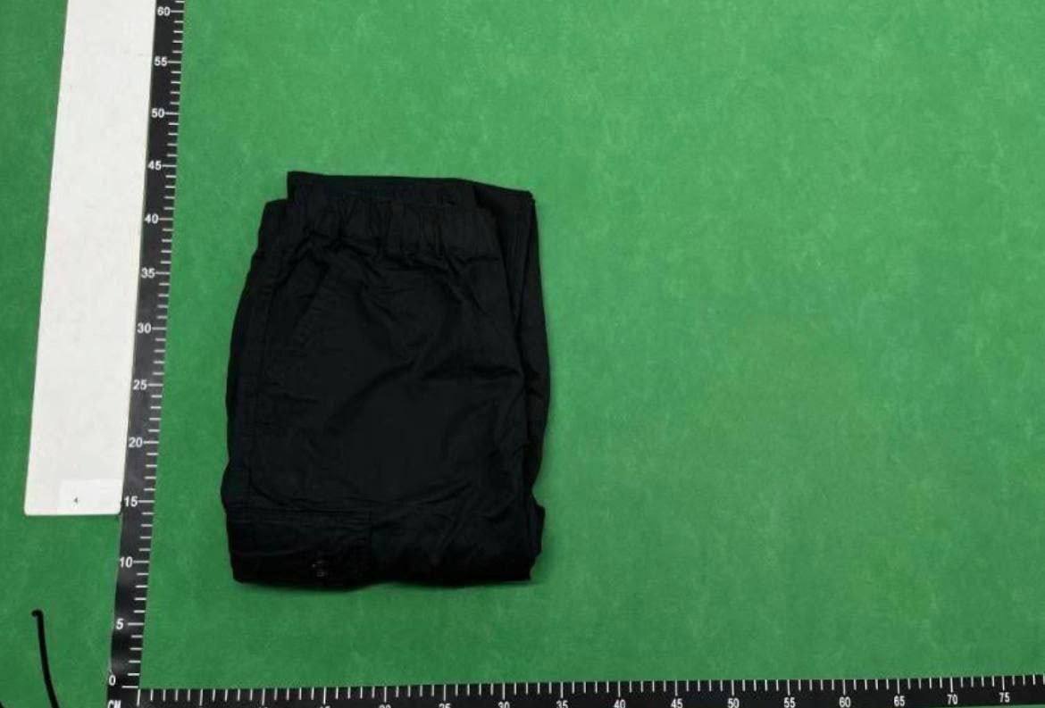 Carhart pants