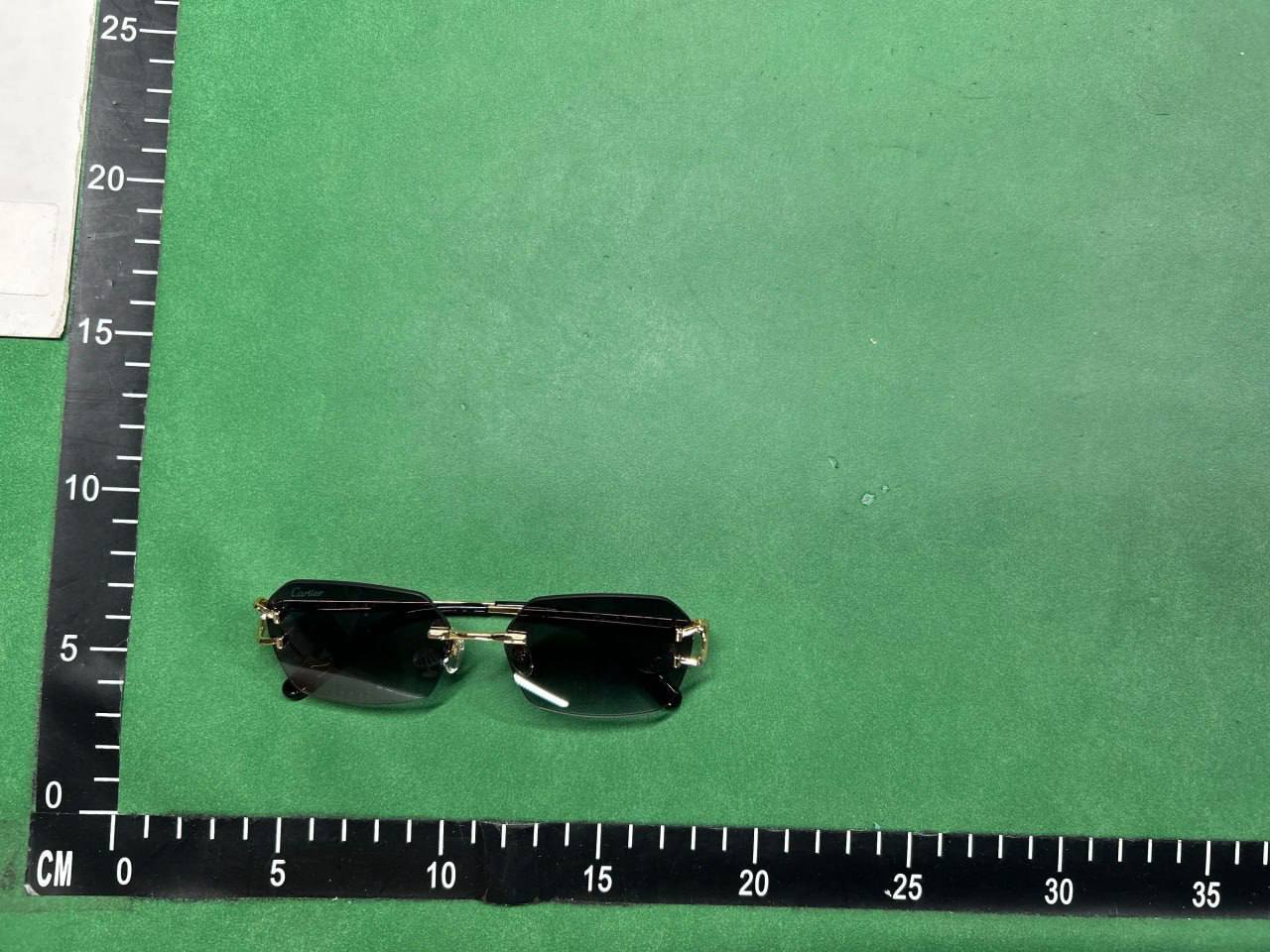  Cartier Sunglasses ( 20 + styles)