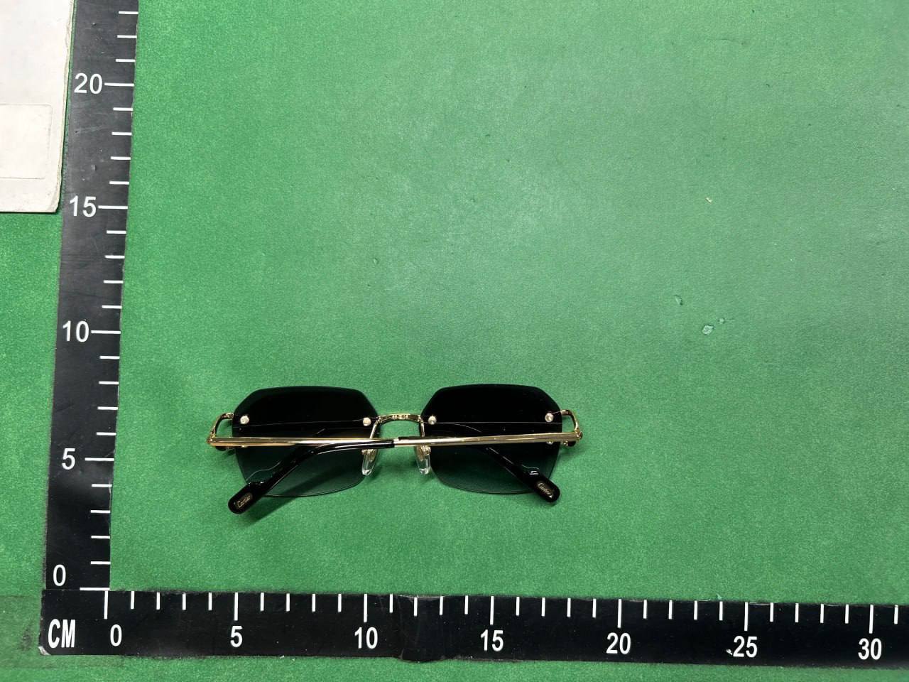  Cartier Sunglasses ( 20 + styles)