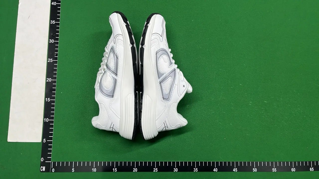 Dior B30 Shoes ( 32 + styles)