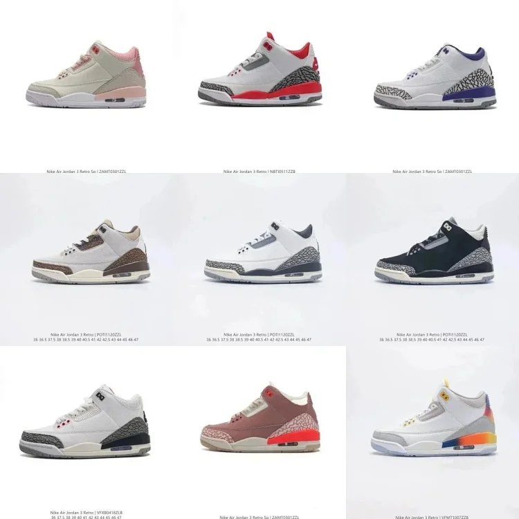  Jordan 3 shoes