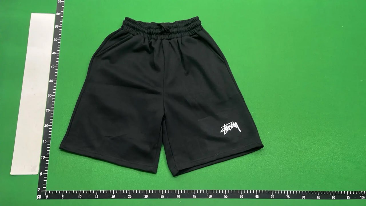 Stussy Shorts (20+)