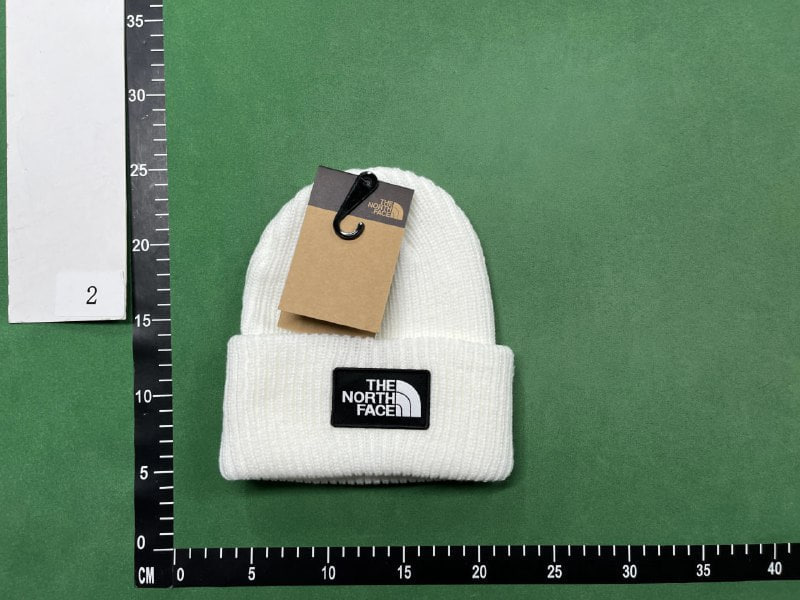 hat(The North Face & canada goose hat & moncler & stone)