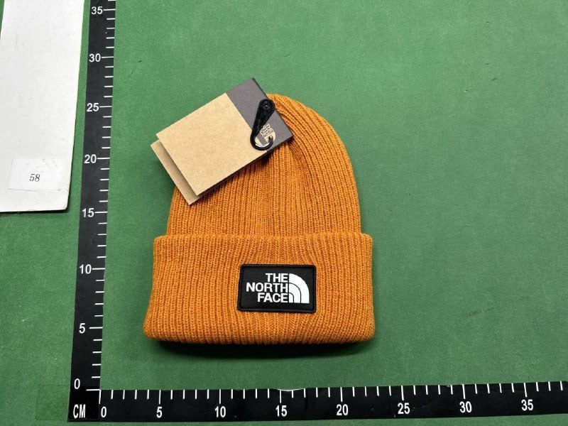 hat(The North Face & canada goose hat & moncler & stone)