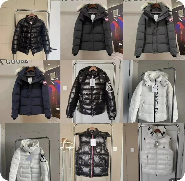 Moncler Down Jacket Vest