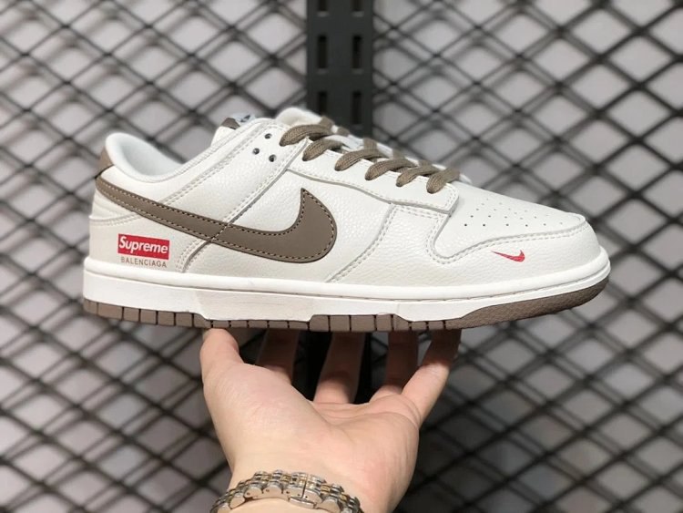 Nike Dunk SB shoes