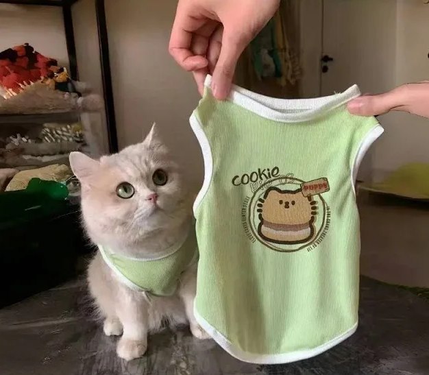 Anti-hair-shedding cat pet clothes