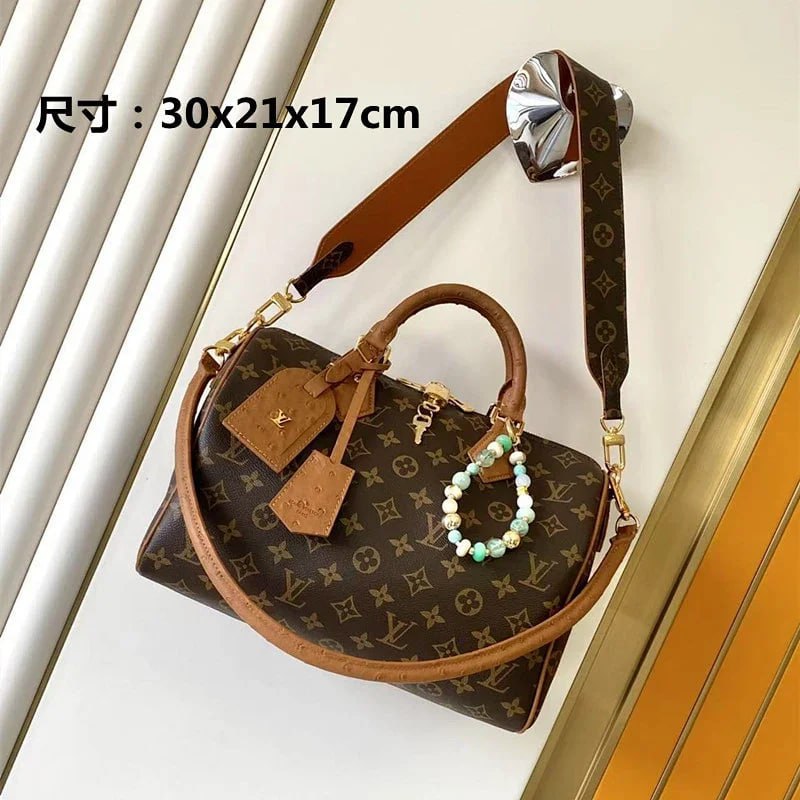 Louis Vuitton Bags