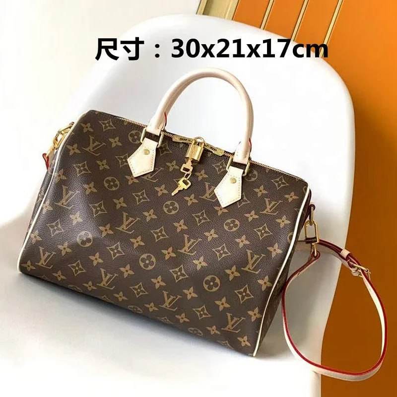 Louis Vuitton Bags