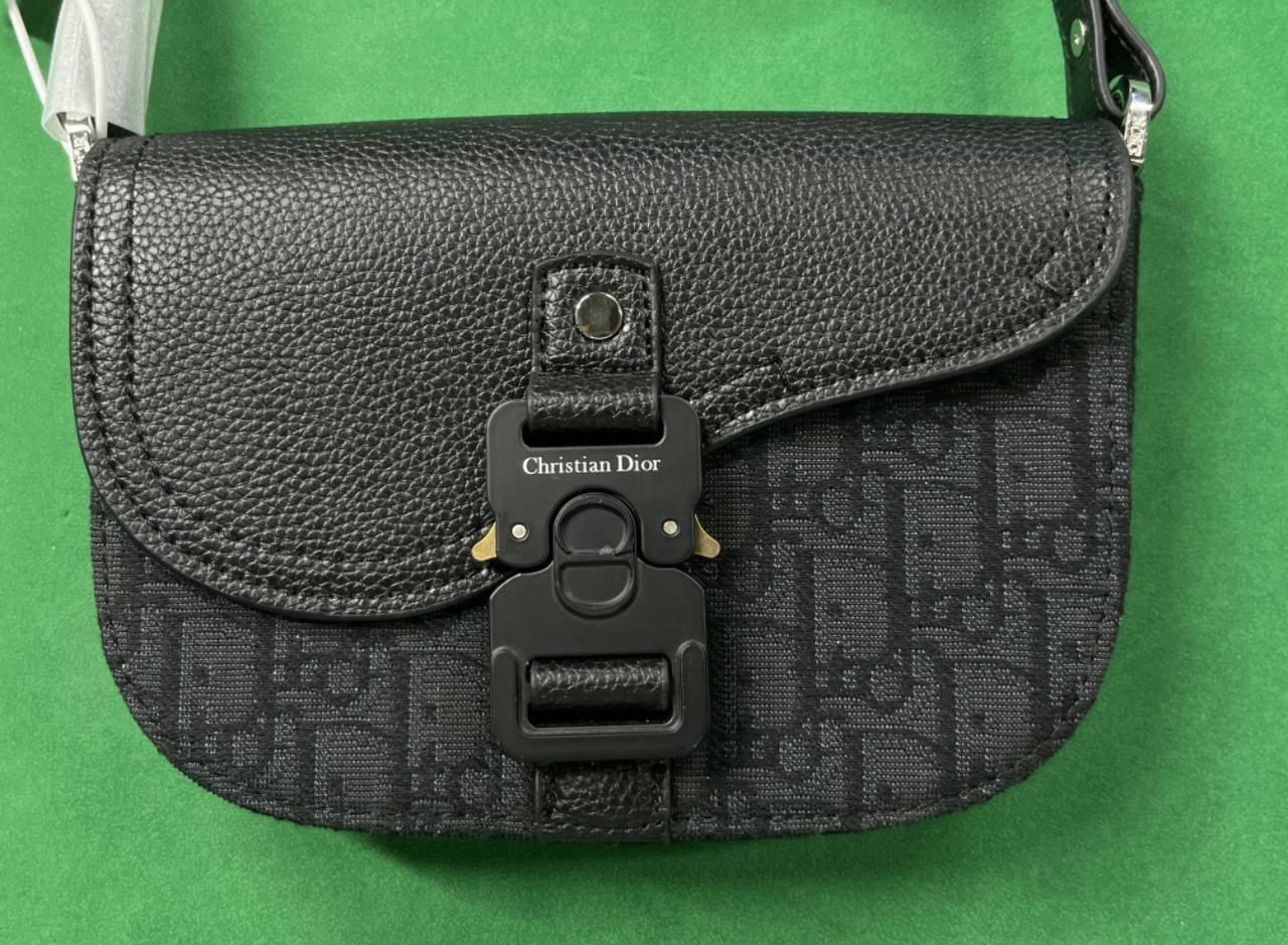 Dior camera bag