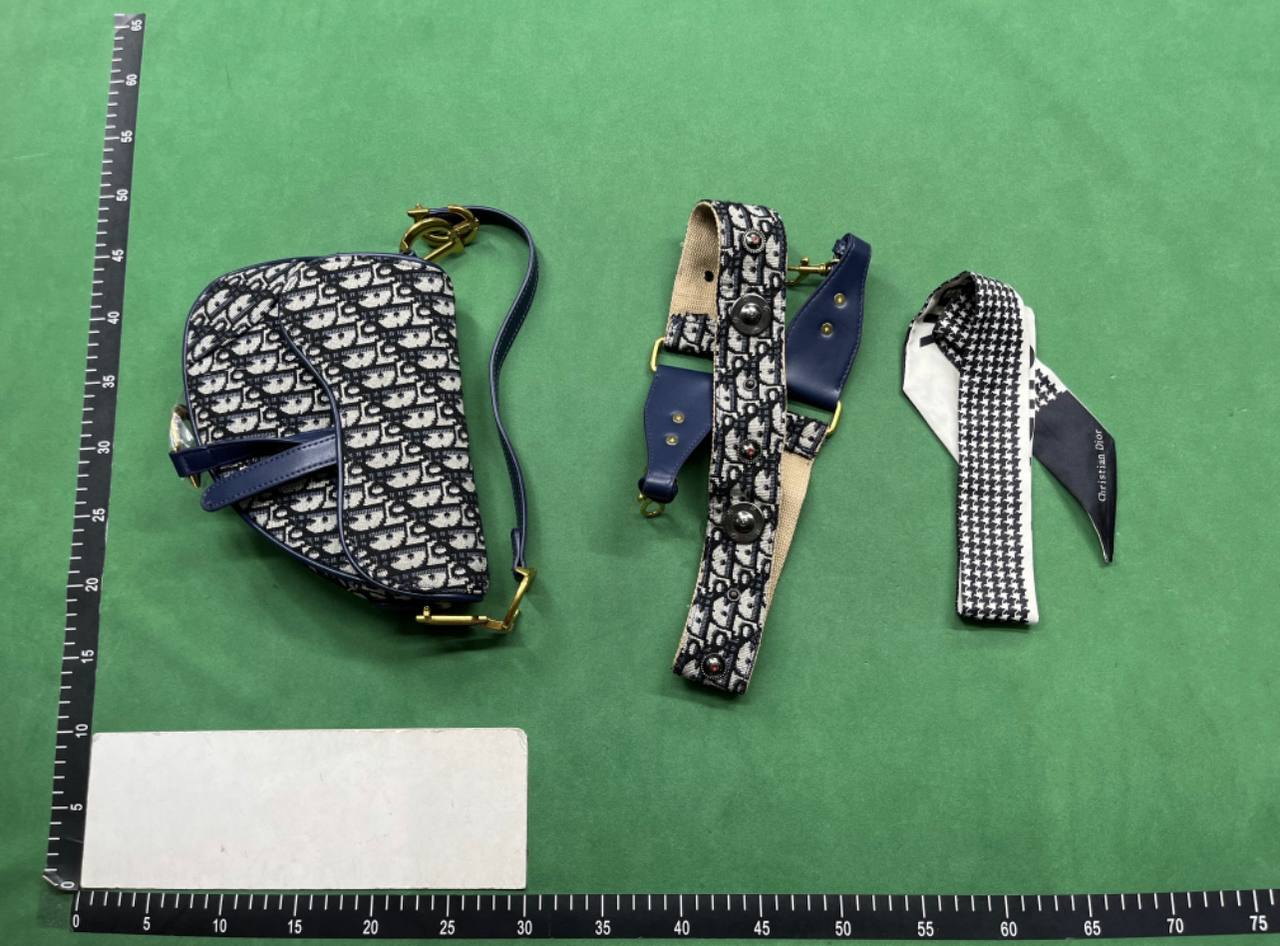 Dior camera bag