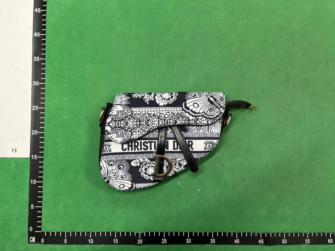 Dior camera bag