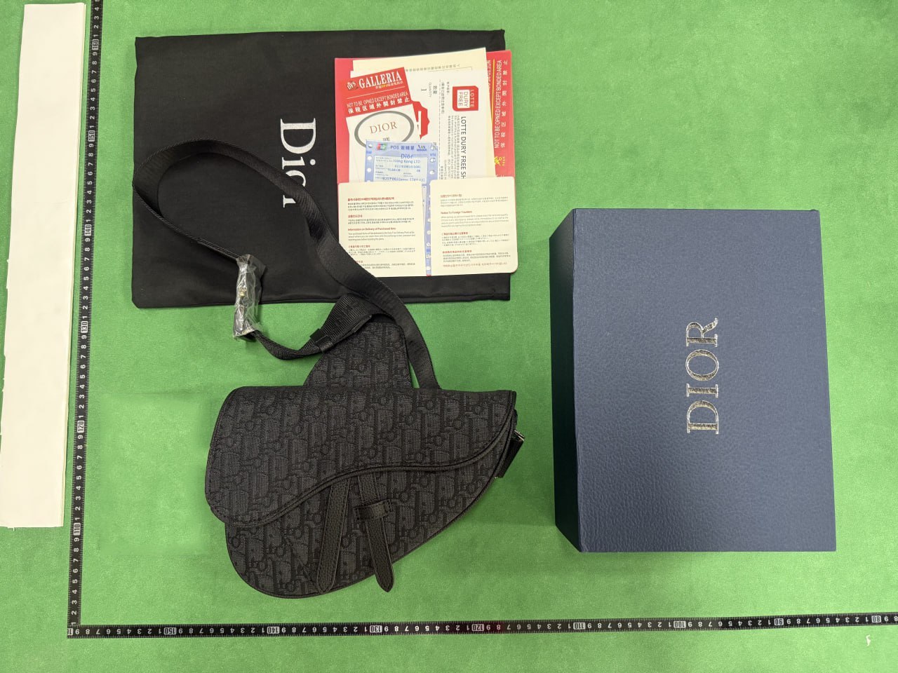 Dior Saddle Bags