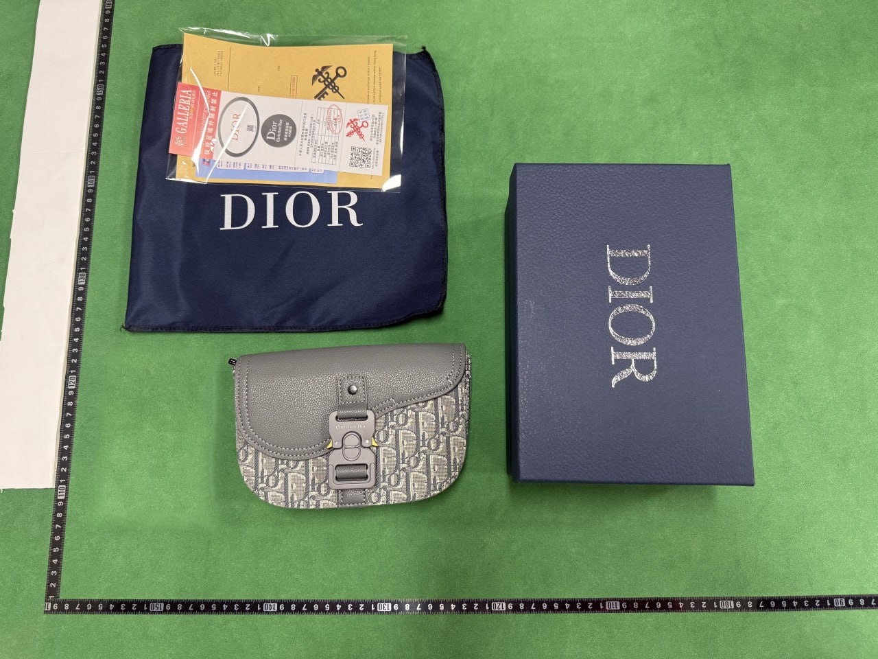 Dior Saddle Bags